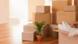 Sakshi Packers and Movers Raipur